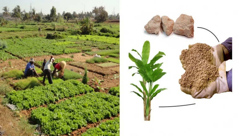 The Edge of Quality: Feldspar in Agriculture