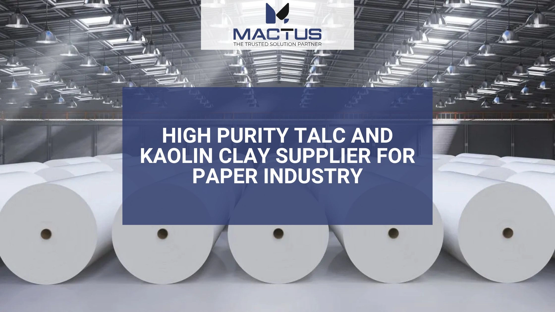 High Purity Talc and Kaolin Clay Supplier for Paper Industry