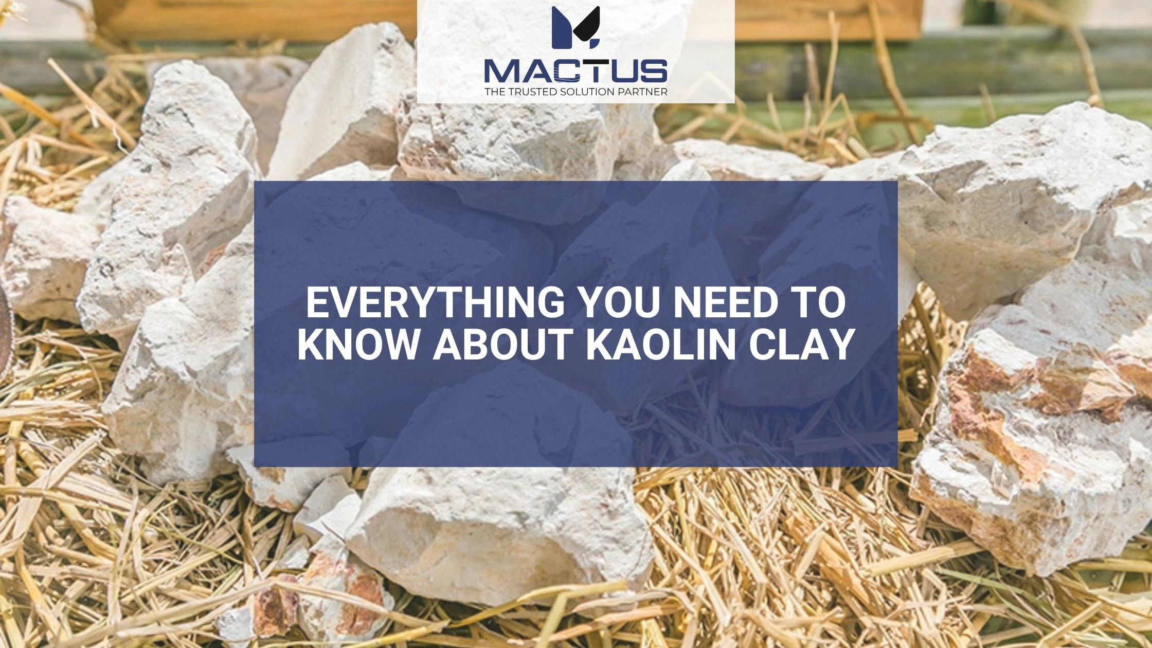 Everything You Need To Know About Kaolin Clay 